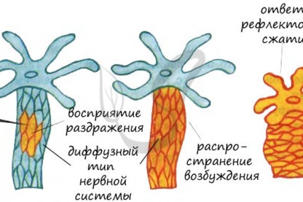 Кракен вход kr2web in