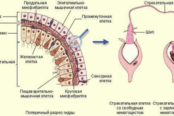 Кракен купить гашиш